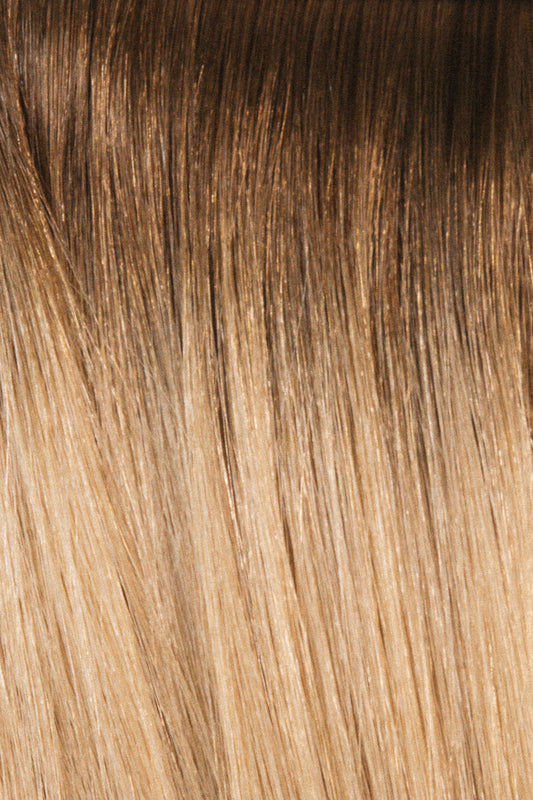 Natural Body  |  Alchemy Shades