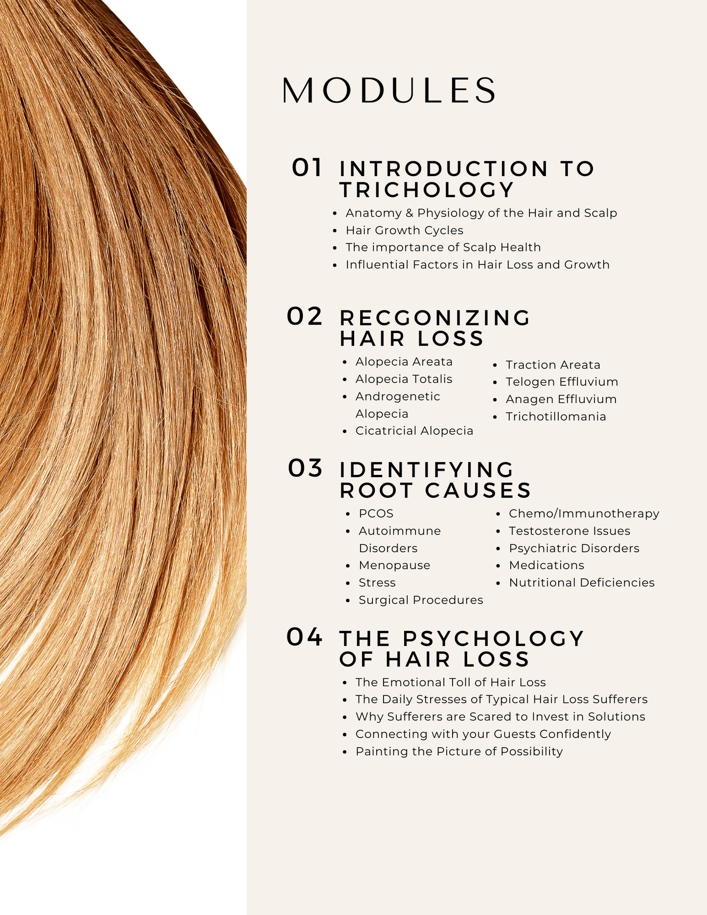 Understand Hair Loss: A Stylist's Handbook to Offering Hair Loss Solutions that Work